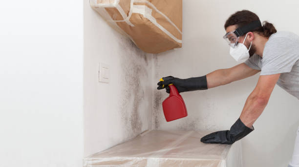 Professional Mold Testing technician working in Mundelein, IL